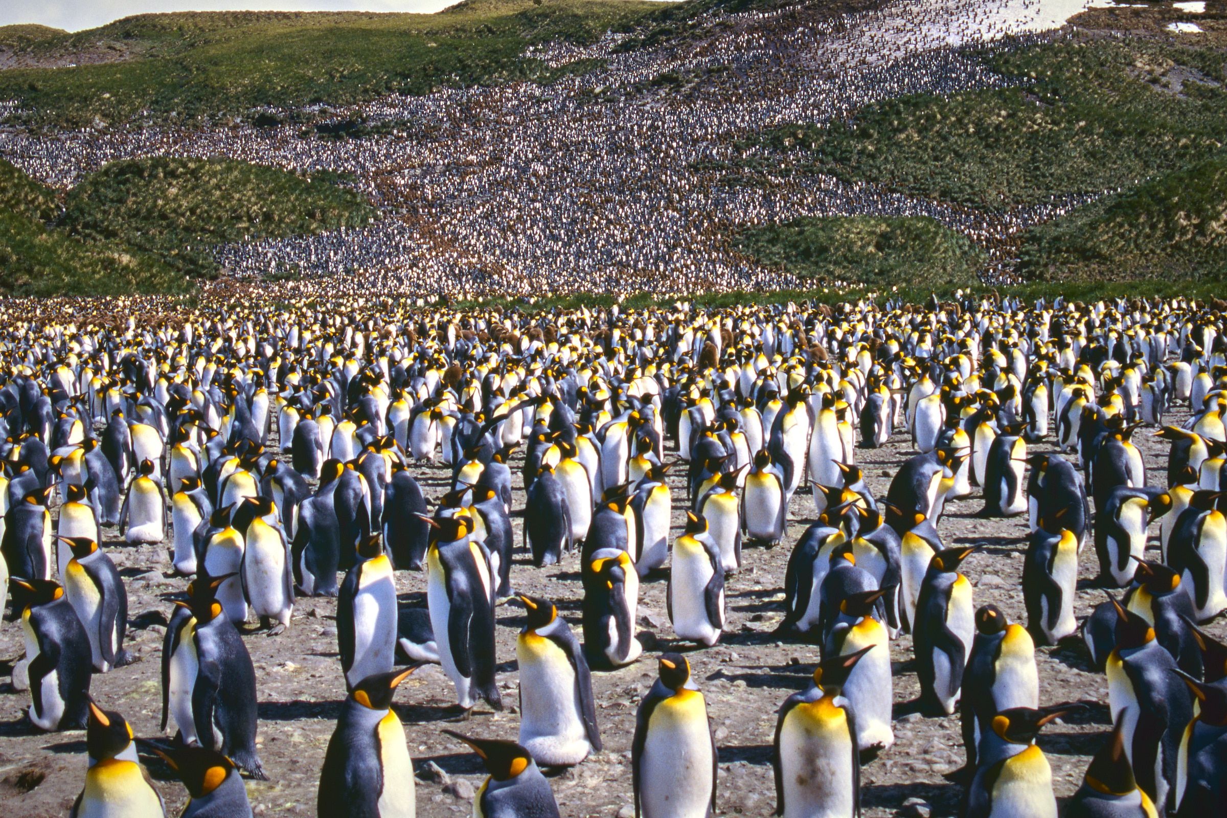 Travel guide Heard and McDonald Islands The best destinations and