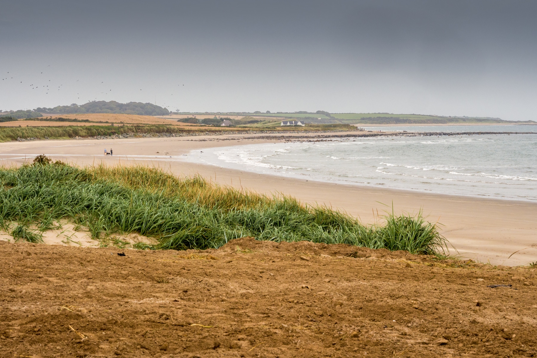 Rosslare to Fishguard ferry Tickets, timetable and route