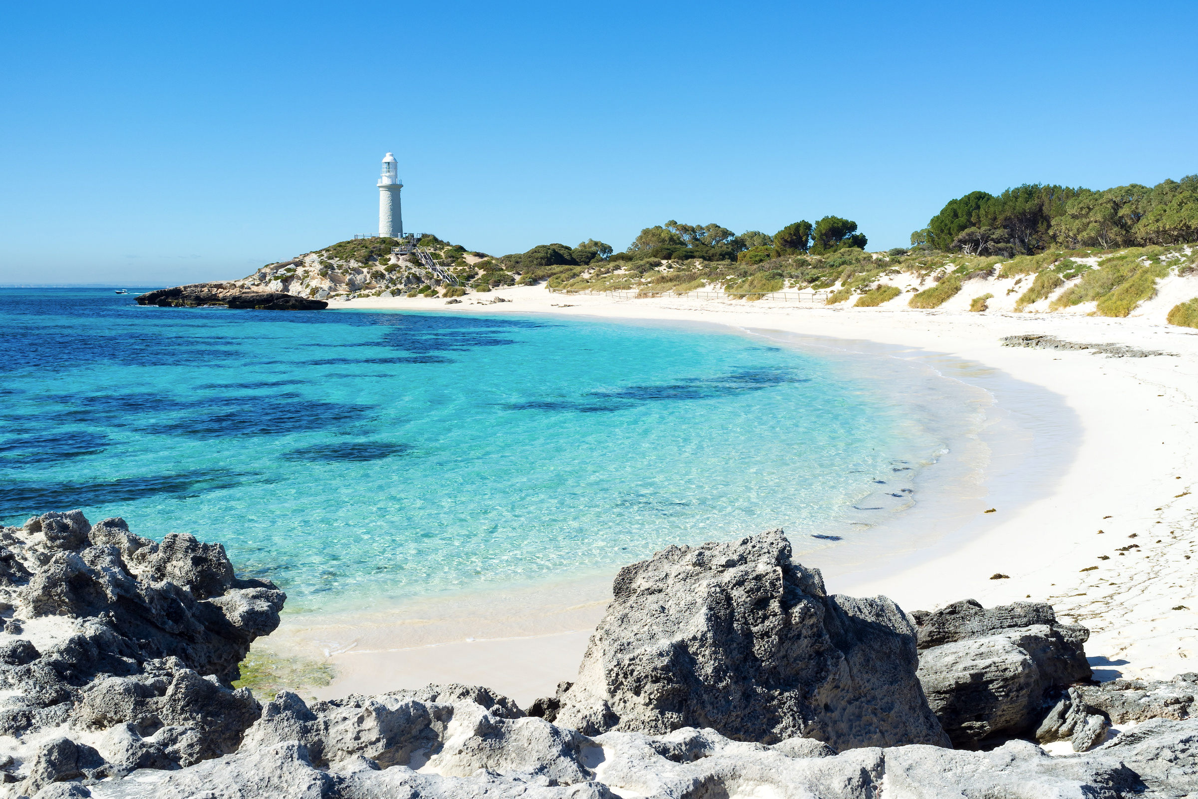 ferries-to-rottnest-island-routes-tickets-timetables